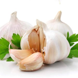 Fresh Garlic
