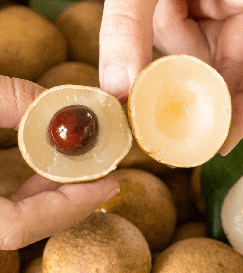 FRESH LONGAN